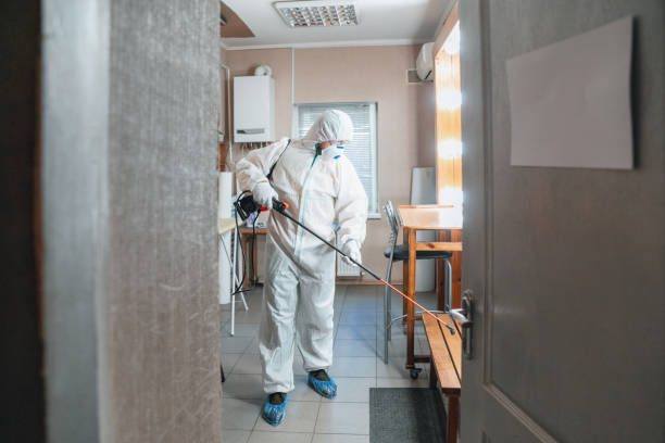 Reliable Robertsdale, AL Mold Removal Solutions