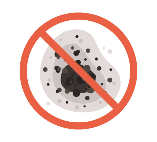 Best Emergency Mold Remediation  in Robertsde, AL