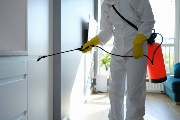 Best HVAC Mold Inspection and Cleaning  in Robertsde, AL